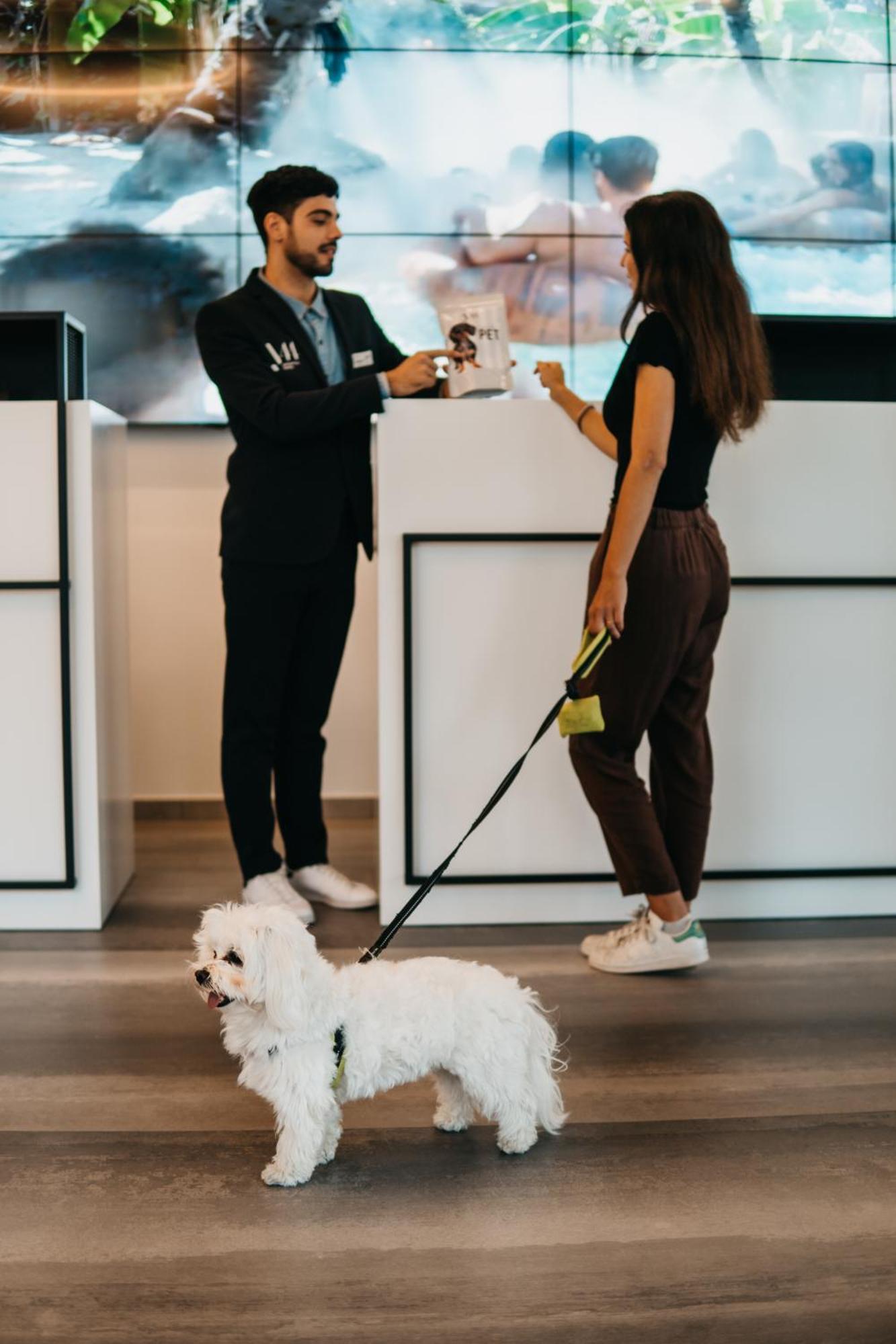 J44 Lifestyle Hotel Τζεσόλο Λίντο Εξωτερικό φωτογραφία Dog at the reception of a hotel